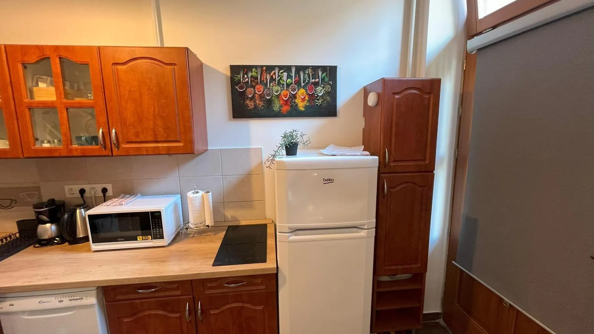公寓 Garam Apartman At Danube 布达佩斯